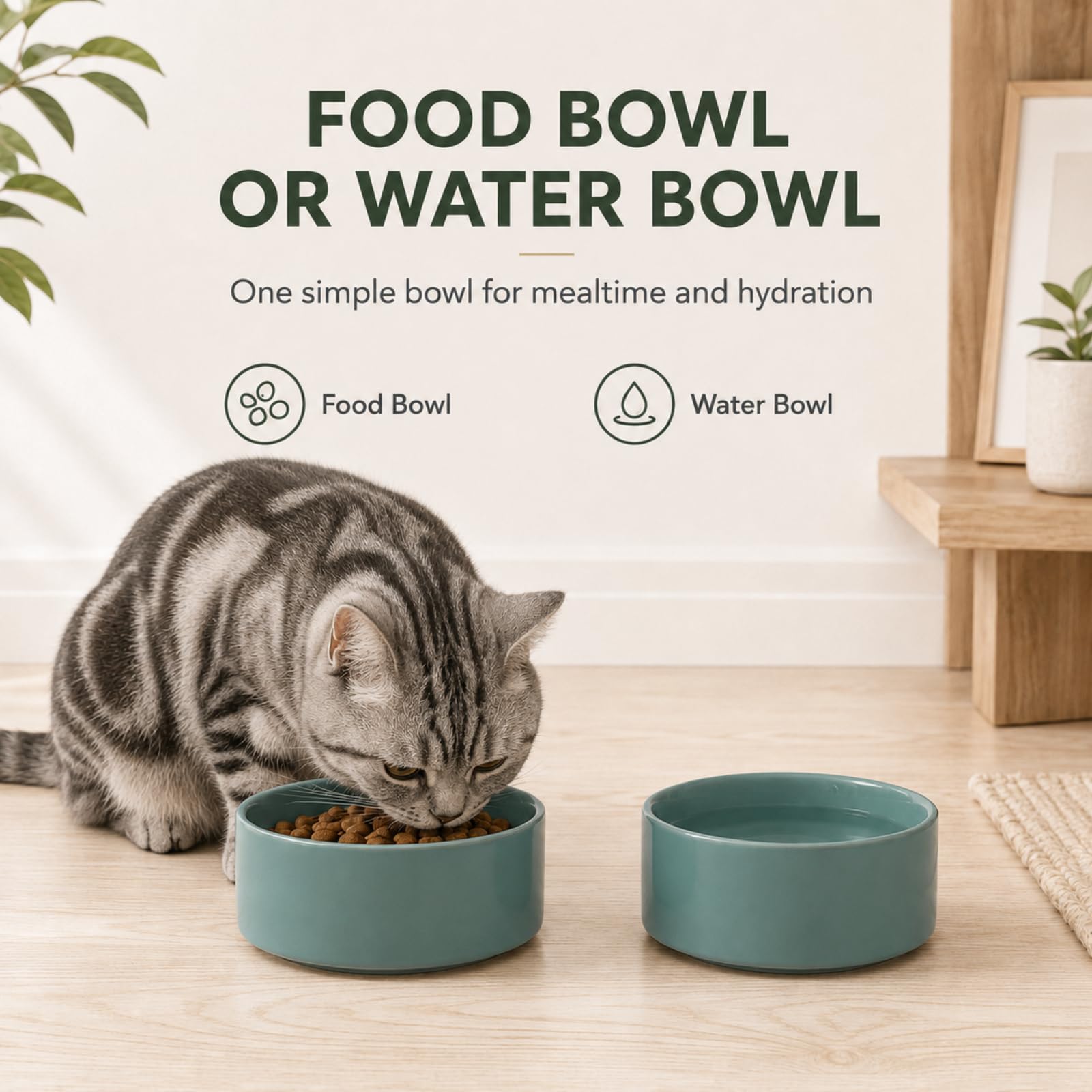 Havniva Set di due ciotole per gatti in ceramica, da 13 cm, per cibo e acqua per gatti adatti ai baffi, ciotole per alimenti per animali domestici per gatti interni, ampia ciotola per acqua per gatti