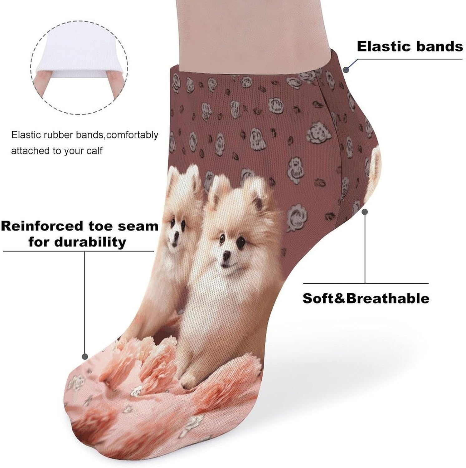 Pomeranians Puppies Point Ankle Socks for Men Women 5 Pairs
