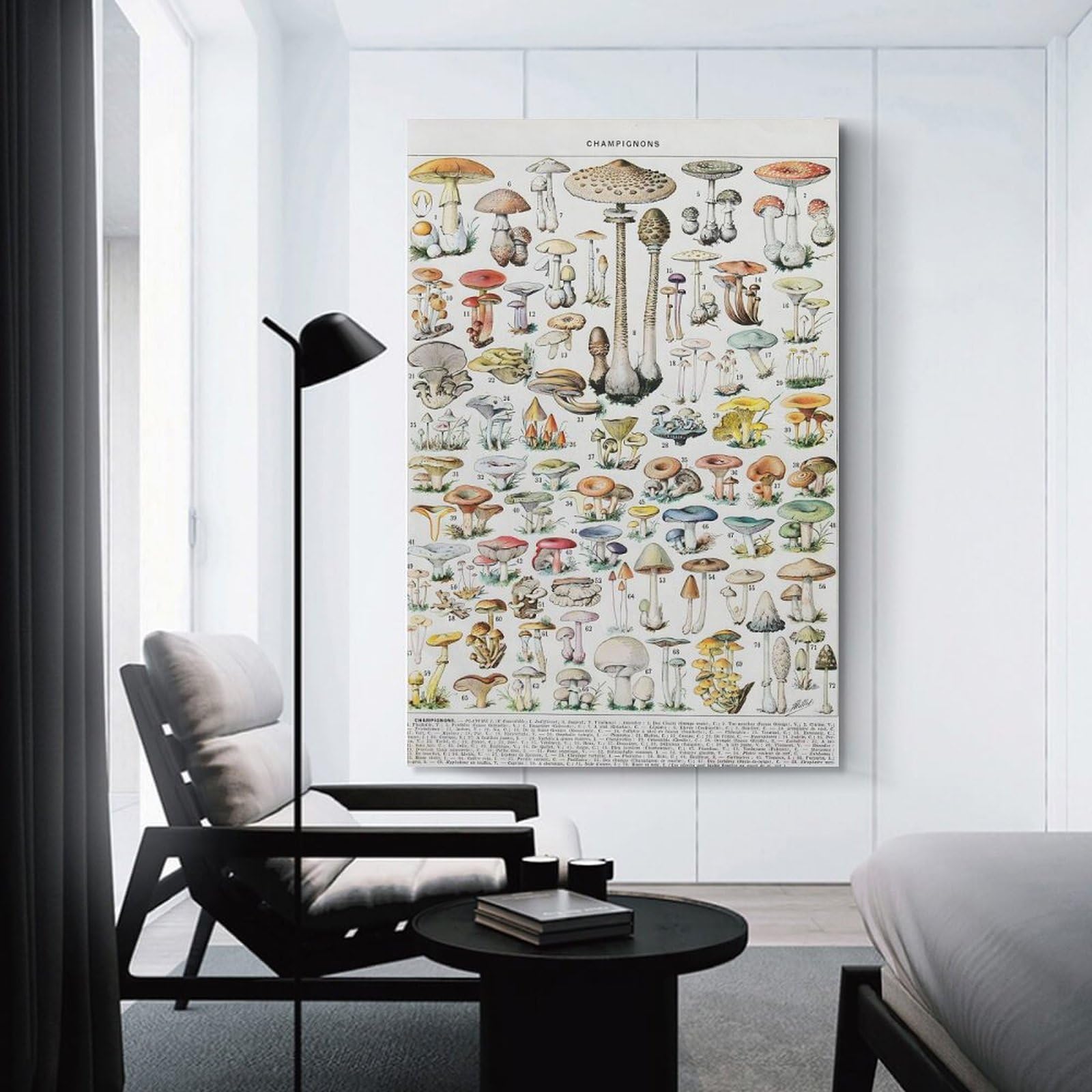 Junmoney Decorative Wall Artwork MUSHROOMS CHAMPIGNONS, 20x30inch(50x75cm), for Living Room, Bedroom Or Apartment Walls, Decorative Artwork for Empty Walls