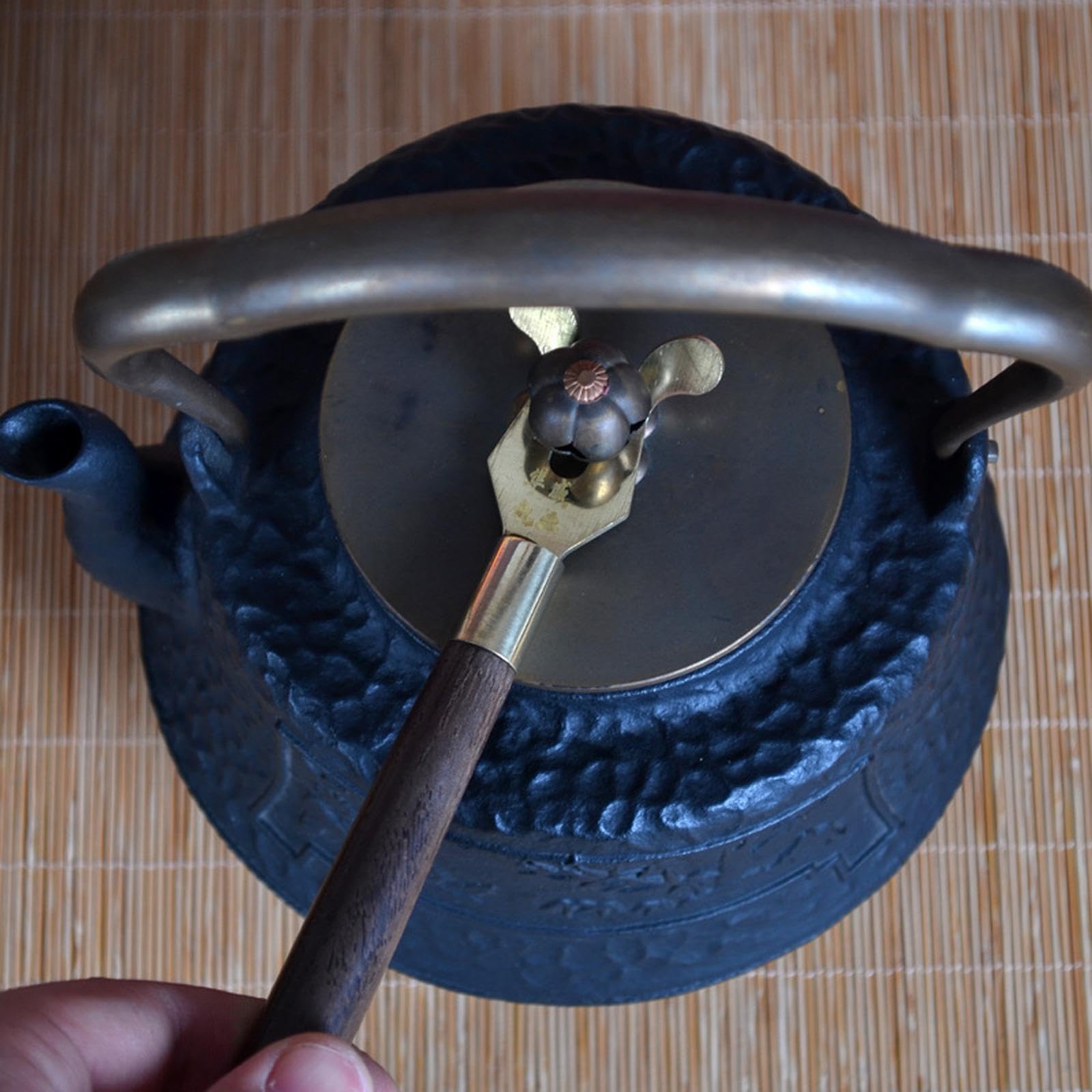 Tetera de hierro fundido, tetera japonesa para doméstico, exterior, camping, diseñada para preparar infusiones, hervidor de agua para cocina, hotel.