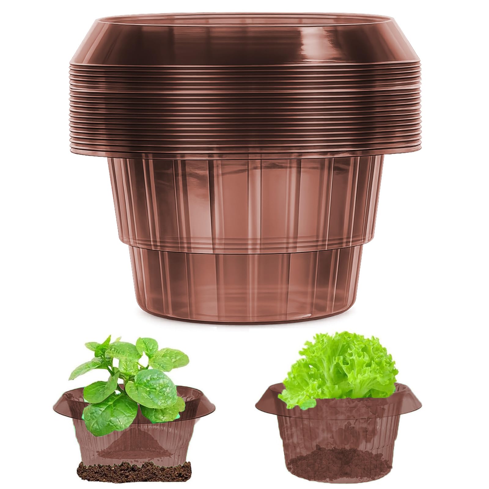 Collare per lumache, 15 pezzi, stabile recinzione per lumache in plastica, per aiuola rialzata, da giardino, riutilizzabile, repellente per insalata, cavolo e piante giovani, marrone