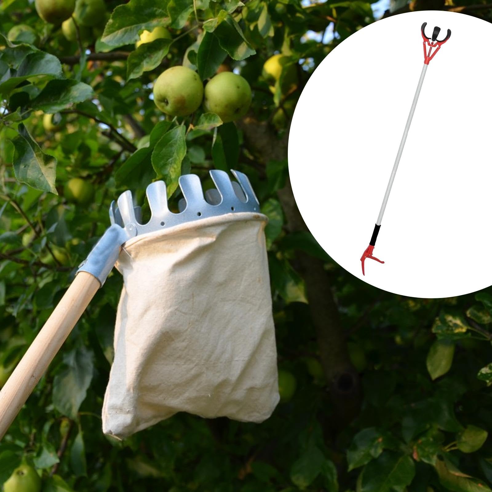 Gralara Cueilleur de Fruits avec Trois Griffes En Caoutchouc Polyvalent pour Obtenir Des Fruits Orange