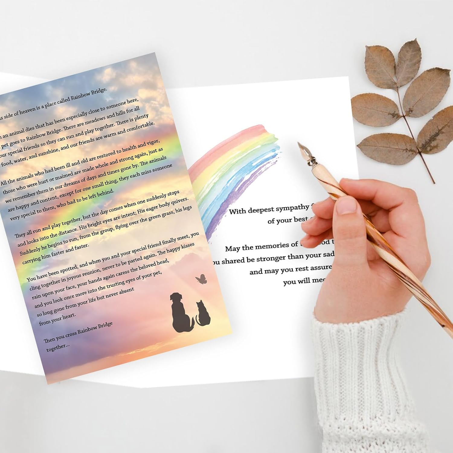 Rainbow Bridge Pet Sympathy Card Gift, Heartfelt Pet Loss Memorial Card image 3