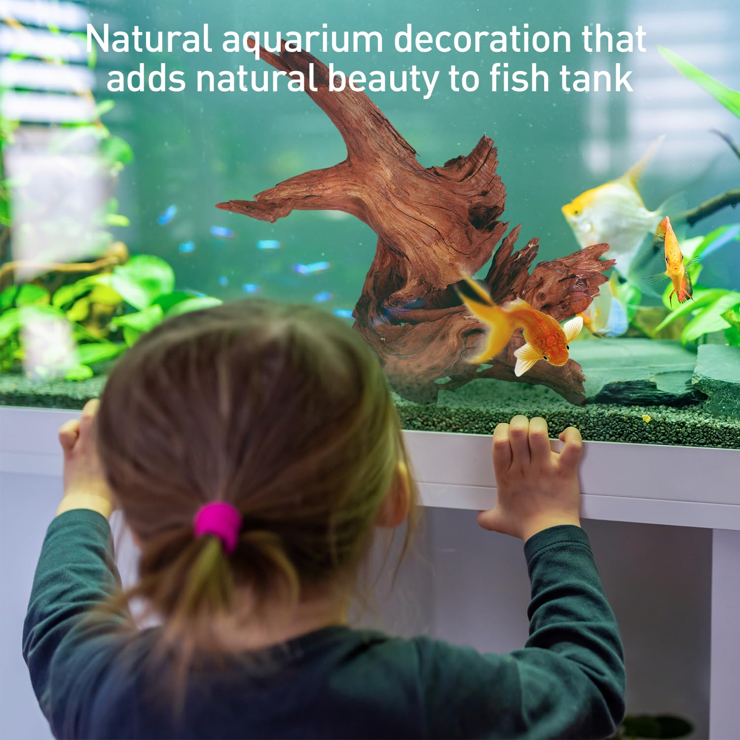 WDEFUN 2 Pack Natural Coral Driftwood Aquarium Fish Tank 100" Long 150" Long Large Size Driftwood for Aquarium Reptile Decoration - Image 4