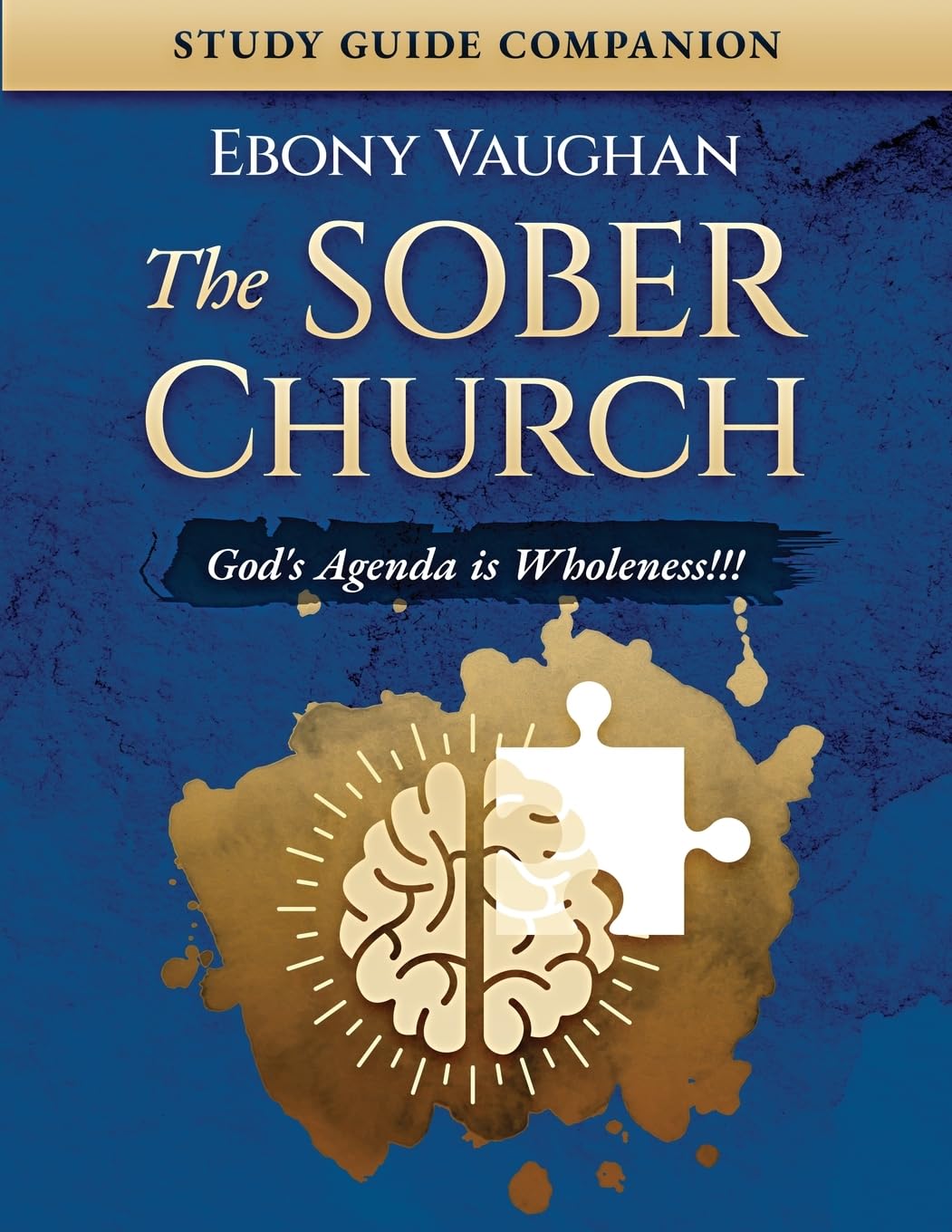 The Sober Church: Study Guide Companion: God's Agenda is Wholeness