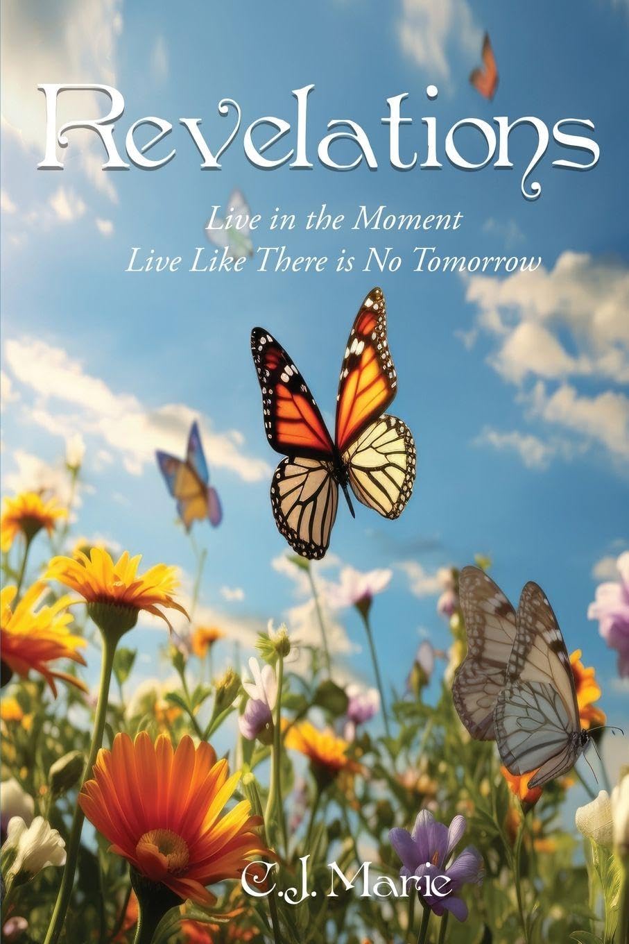 Revelations: Finding the Answers We Spend a Lifetime Searching For: 2 (Trilogy of Timeless Wisdom)