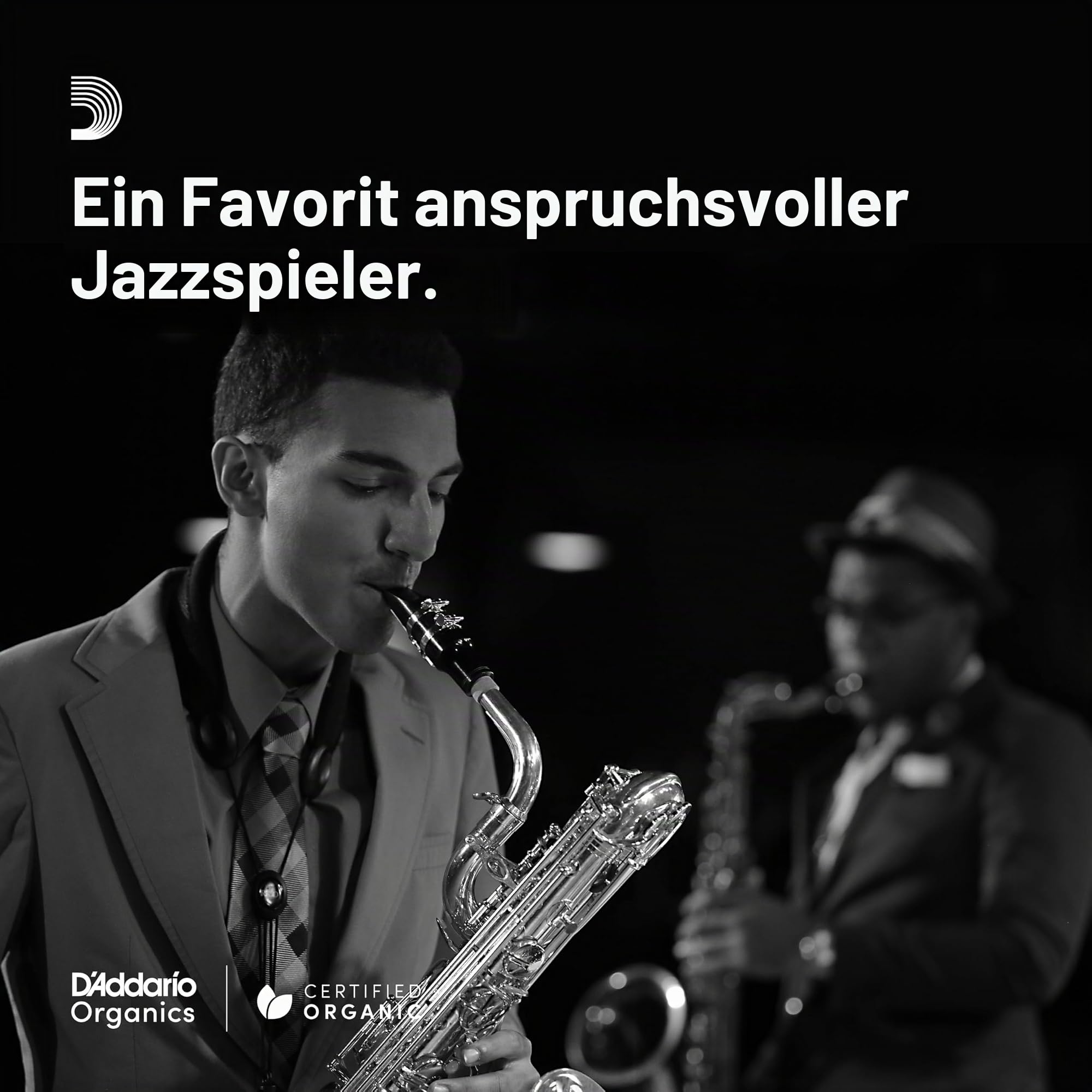 La Voz Blätter für Altsaxophon Stärke Medium (10 Stück)
