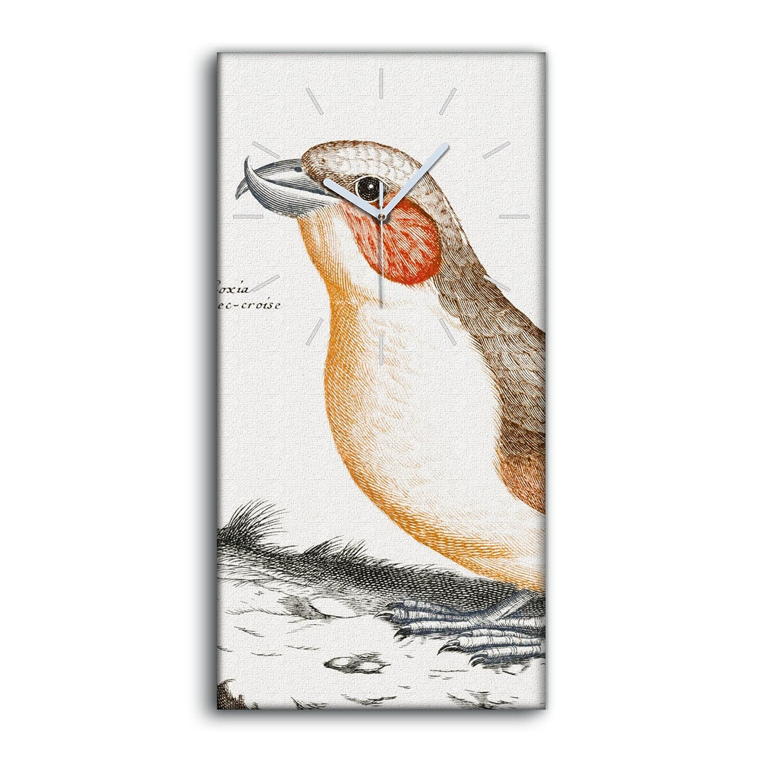 Horloge silencieuse sans tic-tac Coloray 30x60cm image oiseaux