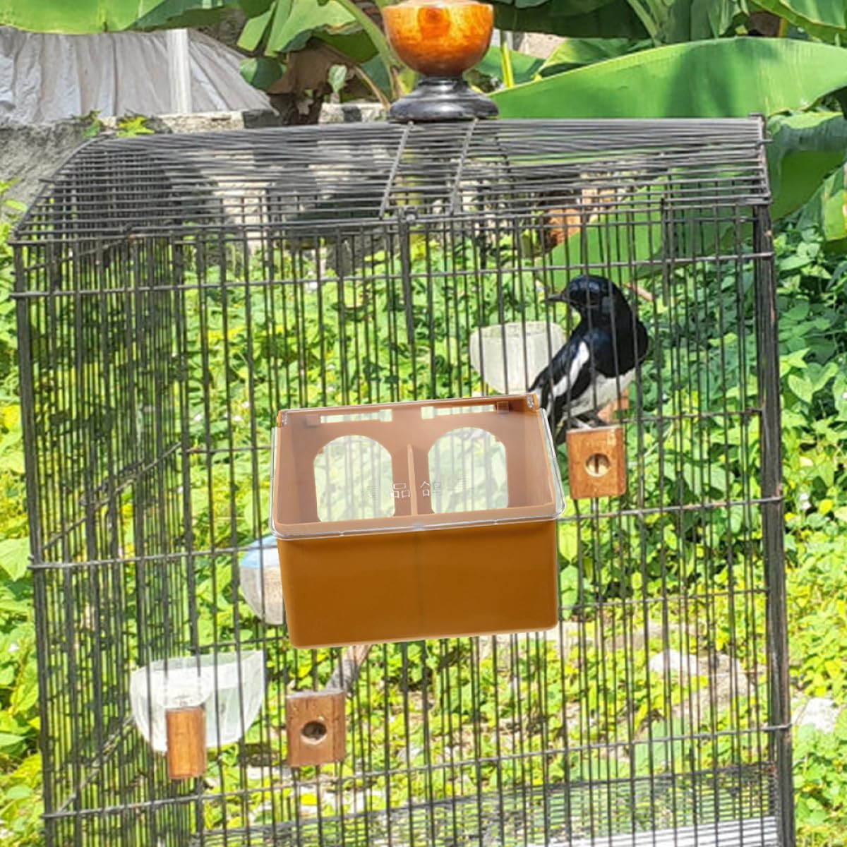 GALPADA Mangeoire Suspendue pour Cage à Oiseaux 3 Unités en Plastique Robuste, Double Compartiment, pour Alimentation de Calopsittes et Pigeons en Intérieur