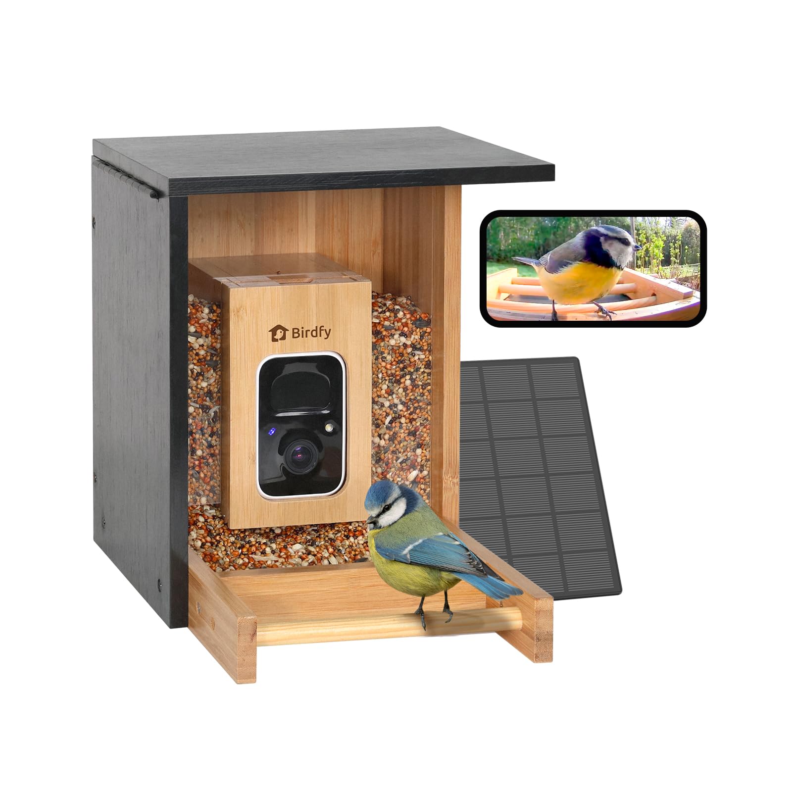 Netvue Birdfy Mangeoire Oiseaux Bambou Caméra Solaire Vision Nocturne Capture Auto Images Vidéos Notification