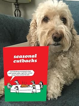 Brainbox Candy Modern Toss Official Funny Christmas Card - 'Turkey Bird Flu' - Christmas Humour Cards - Cheeky Christmas Cards For Him Her Friends Mates - Sold