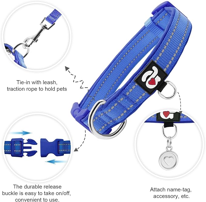 Collar Reflectante para Perro Pequeño, Ajustable, Azul Real miniatura 2