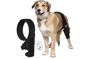M Dog Knee Brace: Premium Support for Torn ACL and Cruciate Ligament Injuries