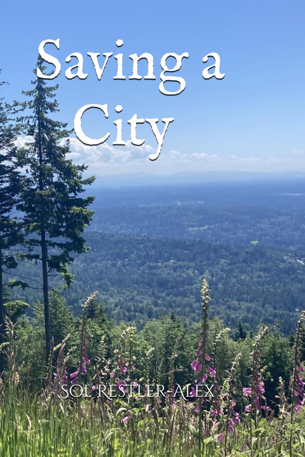 Saving a City