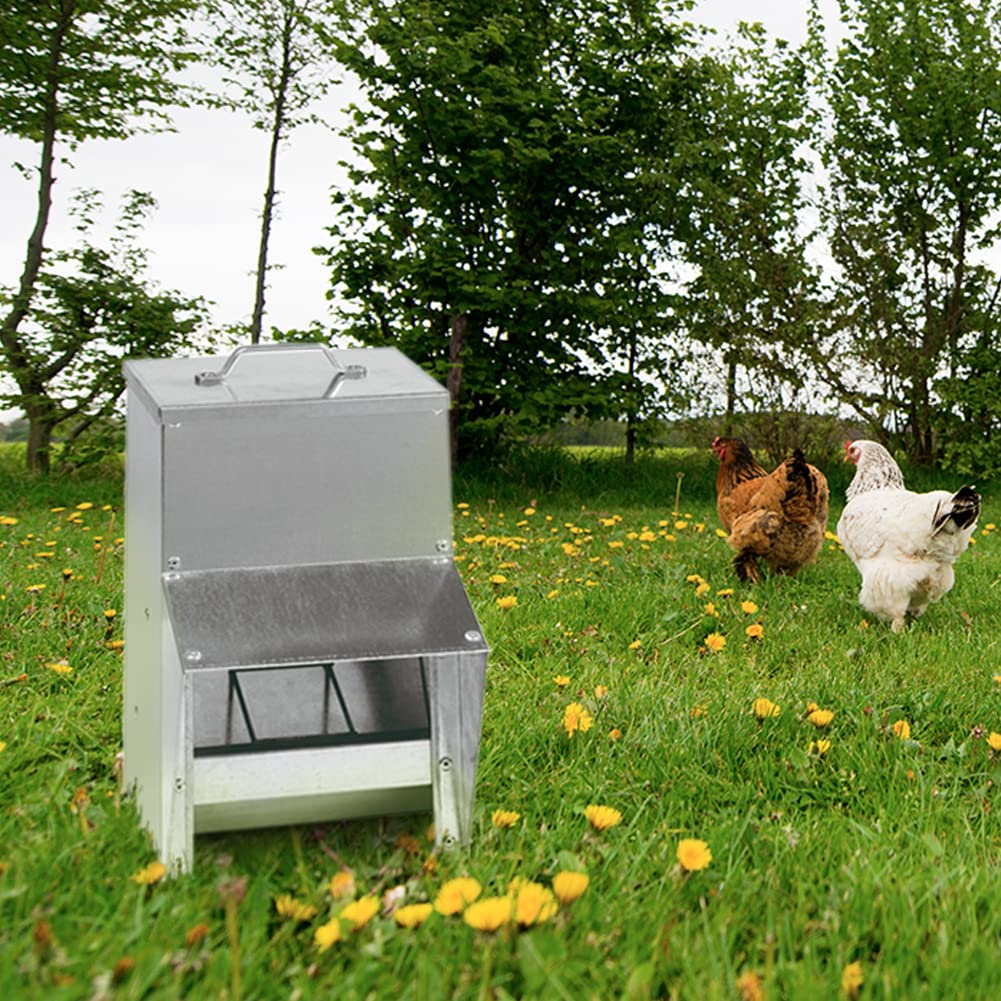 FINCA CASAREJO Tolva Exterior Galvanizada 8,5kg - Comedero de Gallinas Inoxidable - Toldo Antilluvia - Incluye: Guía de Alimentación de Aves de Corral y bolsita de 150g Conchilla Plus