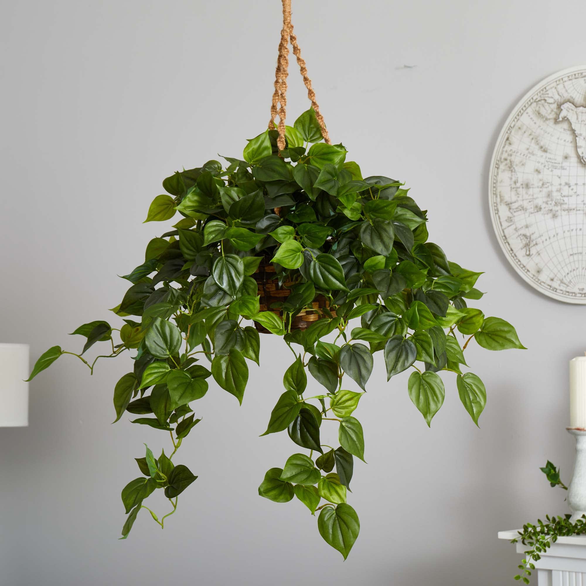 Amazon.com: Nearly Natural Philodendron Hanging Basket UV Resistant  (Indoor/Outdoor) : Home & Kitchen
