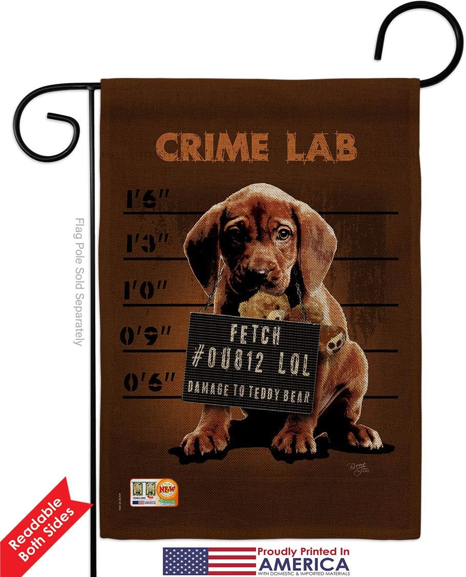 Crime Lab Burlap Garden Flag Set Wall Holder Animals Dog Puppy Spoiled Paw Canine Fur Pet Nature Farm Animal Creature Small Decorative Gift Yard House Banner Double-Sided Made In USA 13 X 18.5