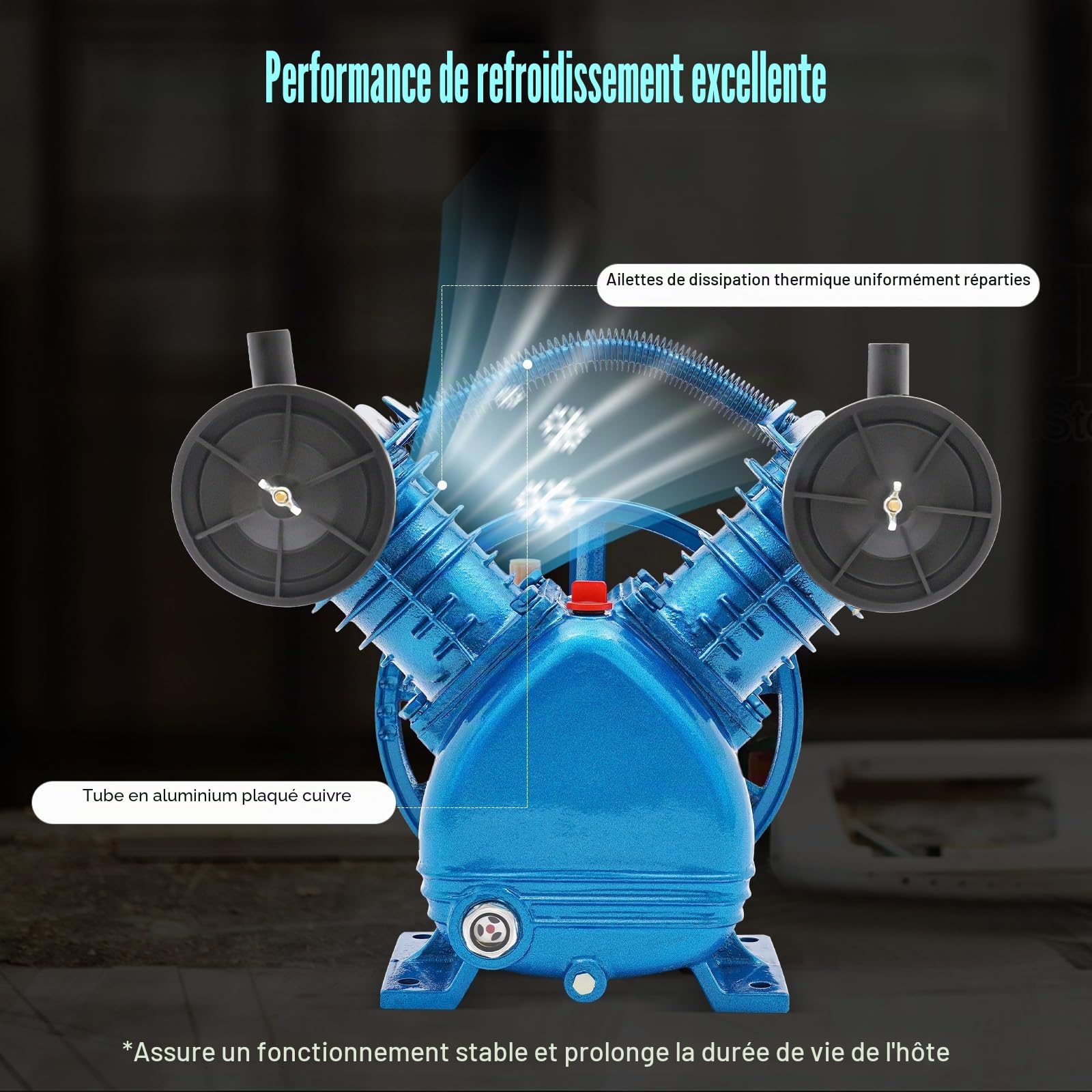 Compresseur d'air comprimé 2200 W, capacité de débit 250 l/min, 2 cylindres, tête de pompe en V