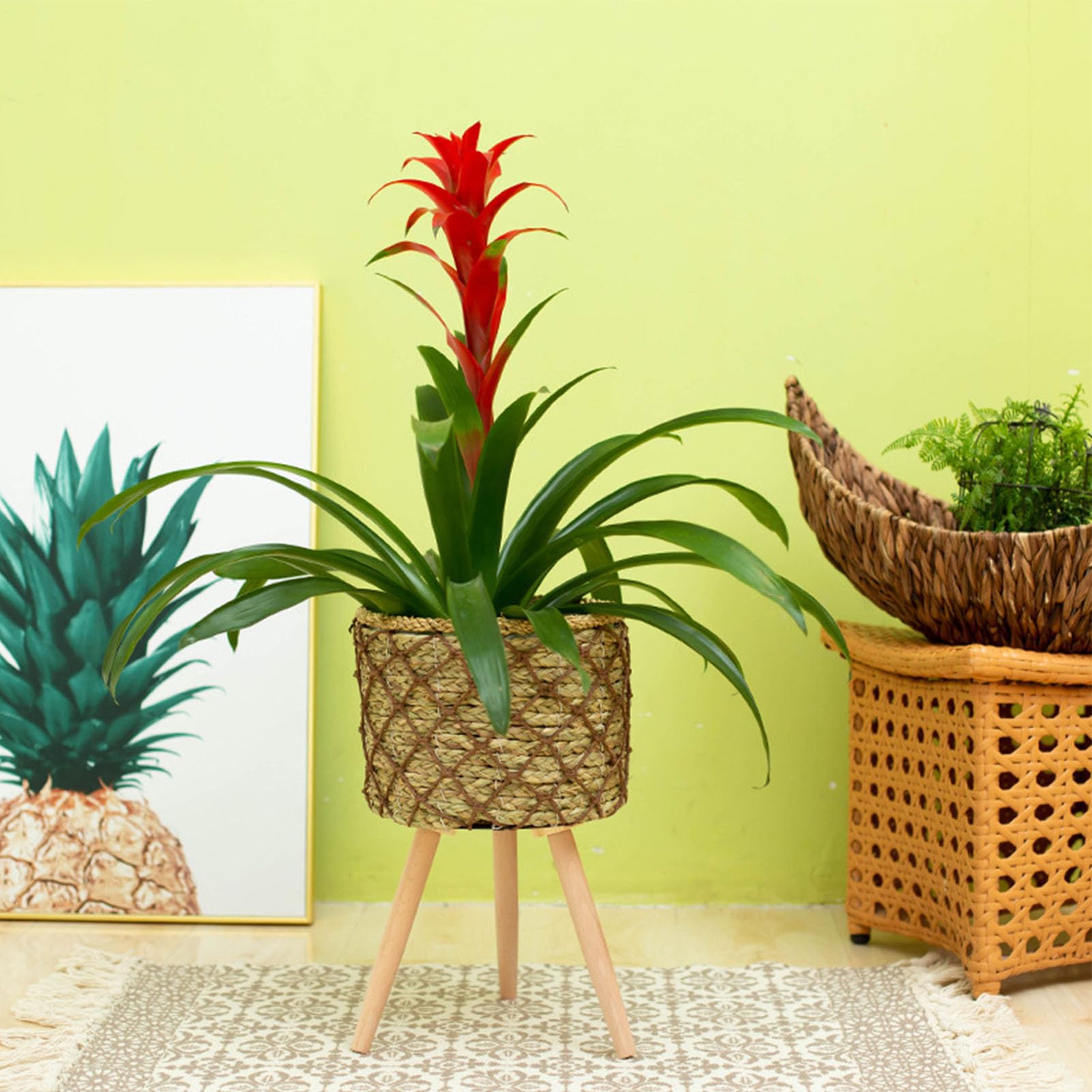 Fioriera intrecciata – Vaso per fiori da interno, cesto con 3 gambe in | legno, supporto decorativo per piante, elegante supporto per vasi di fiori rialzato, design artigianale in rattan resistente,