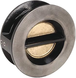 Double Disc Check Valve, Cast Iron, 4 In.