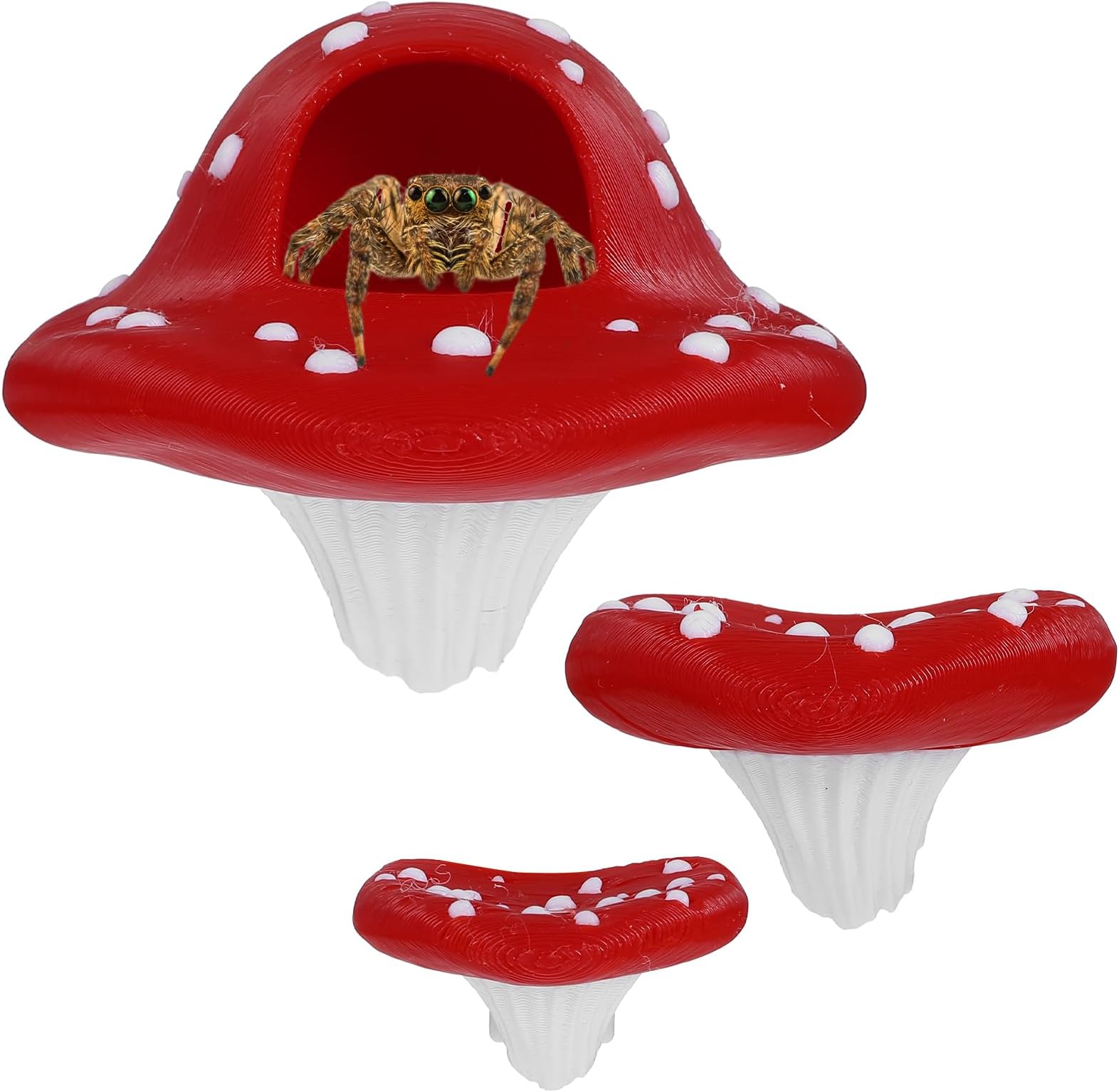 3 Pcs Jumping Spider Enclosure Accessories Jumping Spider Enclosure Decor Mushroom Styling Platforms Pet Spiders Accessories for Resting Climbing Feeding Decorating Exploration