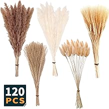 ALLBIZ Pampas Grass Decor Natural Dried Pampas Grass - Brown & White Pampas - Bunny Tail Reed Grass, Fluffy Dried Stem Flowers for Home Decor Wedding Boho Decor (17 inch / 45 cm)