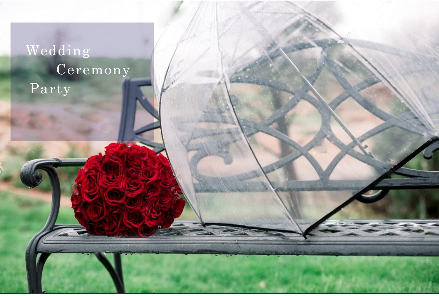 Siepasa Women's Grey Clear Bubble Transparent Umbrella with Classic Hook Handle, Auto Open, 46 inch Canopy, Steel Shaft, Water Repellent, Ideal for Rain, Weddings, Parties