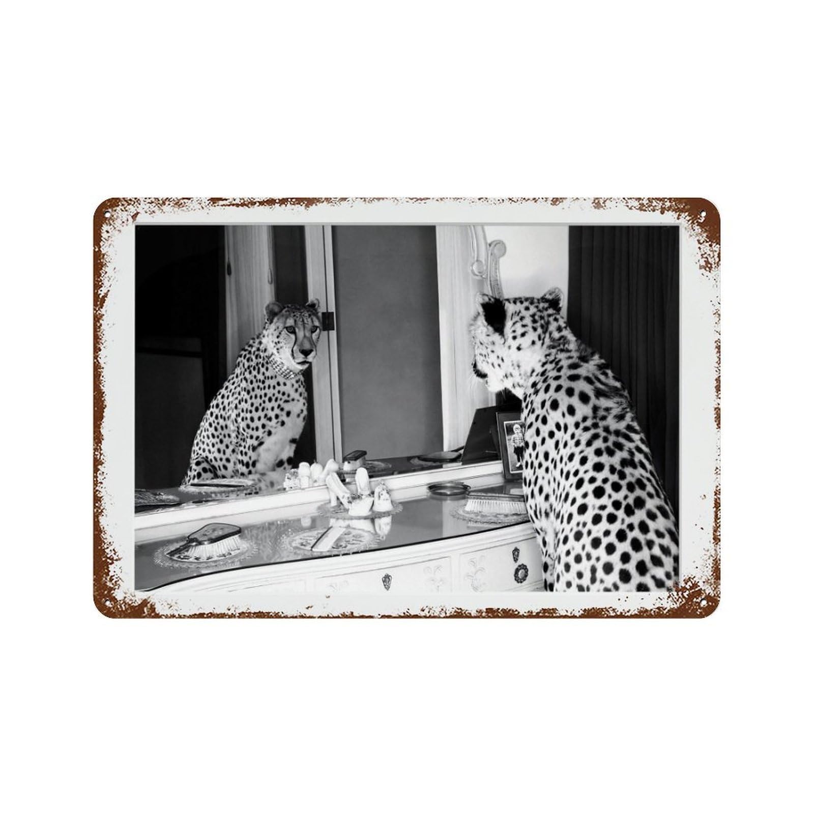 xiaoxiaoshen Cheetah Photography S1 Wall Decor Art Metal Tin Poster Modern Home Decor Art Home Bar Shop Decorations Vintage Sign 20x30cm