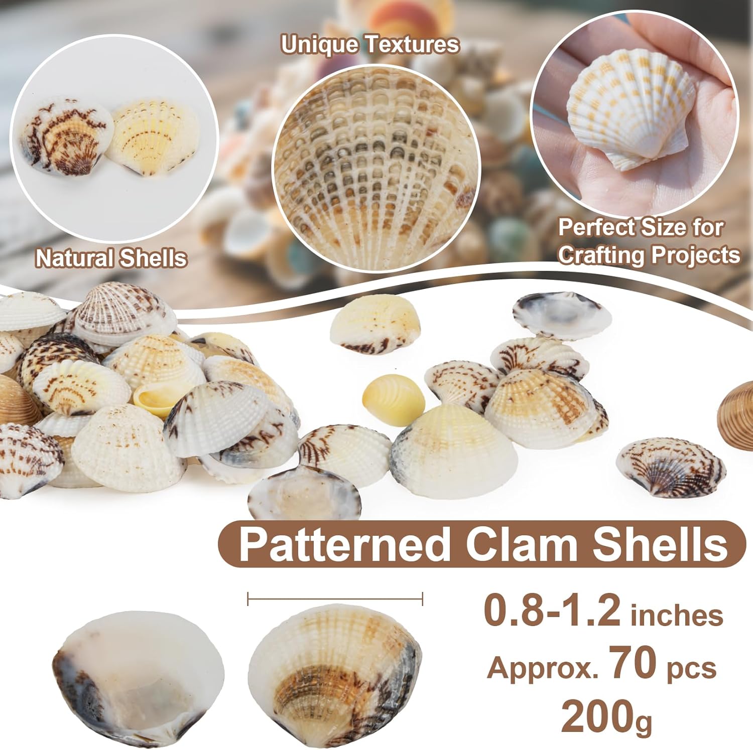MAQIHAN 60 PCS Small Sea Shells - 0.8-1.2 in Natural Small Clam Shells for Crafts Tiny Seashells Bulk with Unique Patterns for Decorating Beach Decor, Vase Filler, DIY Projects, Fish Tank Decoration - Image 2