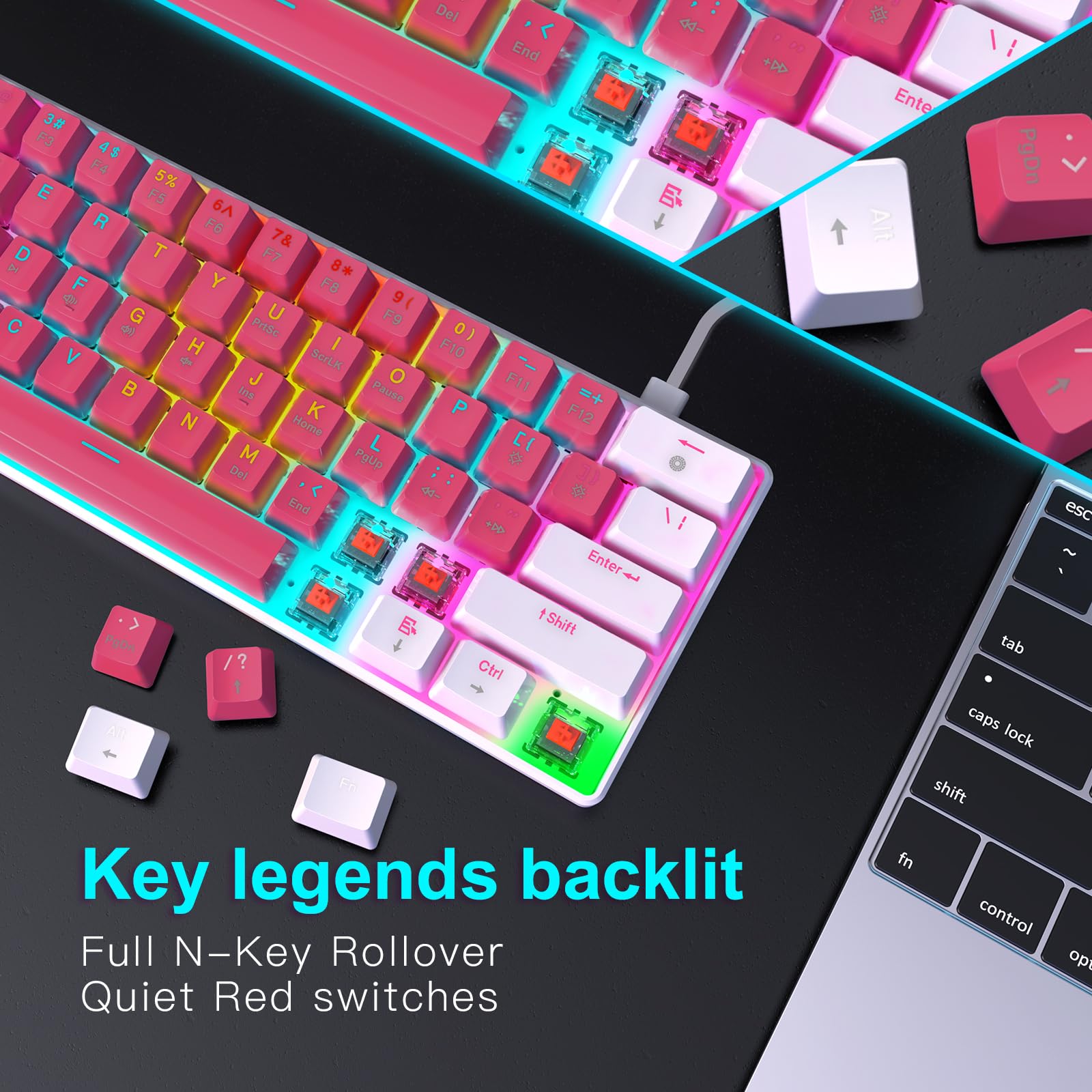 Keyboard Razeak Snapklik.com : RAZEAK Portable 60 Percent Keyboard, Compact 61 Keys ...