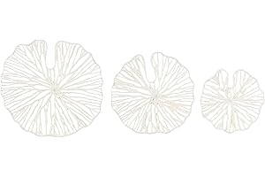 Coral Decor: Captivating Coastal Accents by Creative Co-Op