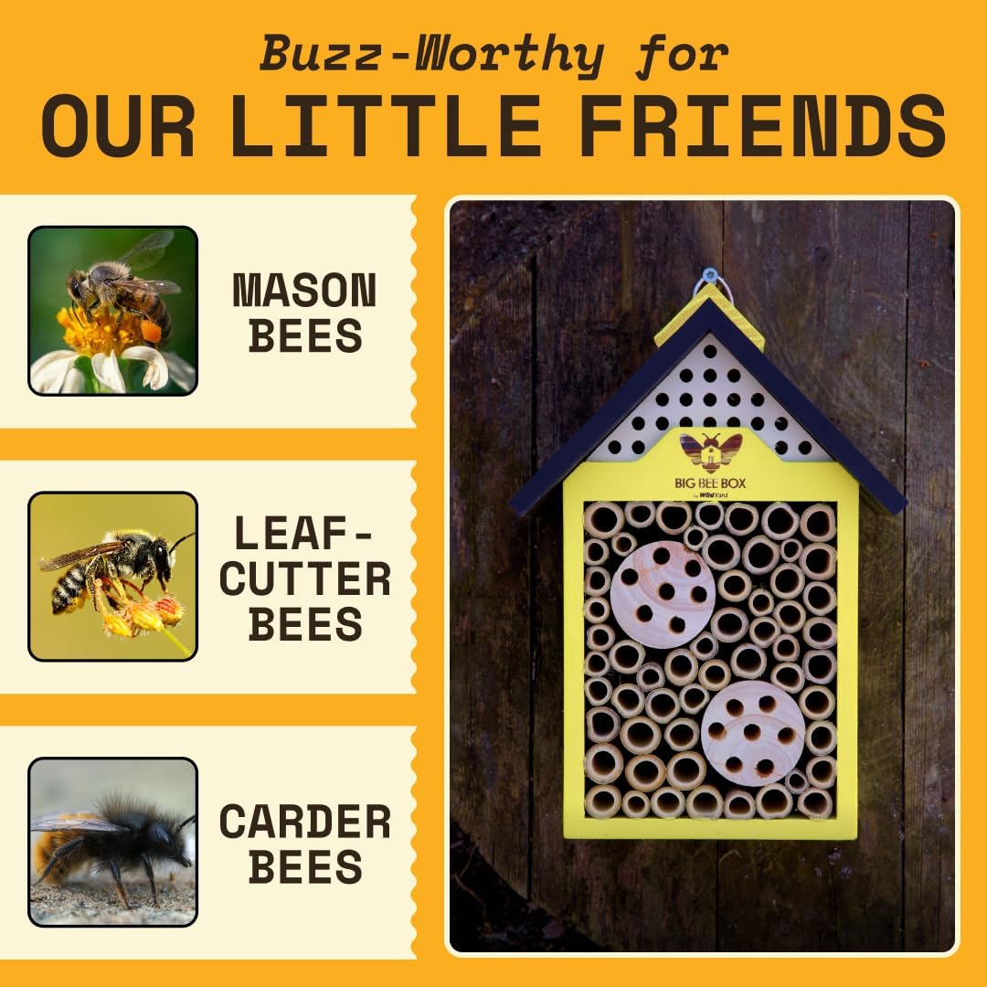 WildYard Bee House - Yellow, Modern Wood - Weather-Resistant Refuge & Solitary Bee House - Easy-Mount Design & Bug Hotel with Removable Tubes - Modular Nesting Tubes & Pollinator Hotel Appeal