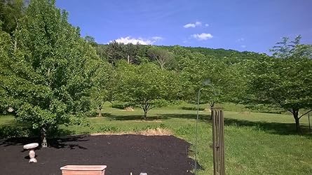 Customer Image, click to open customer review