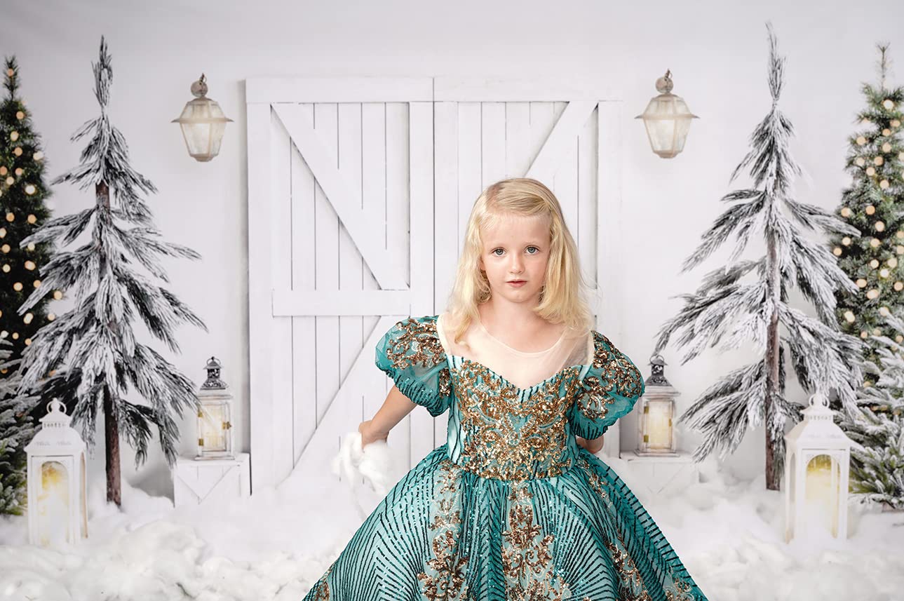 Kate Red Door クリスマス写真背景 素朴な納屋の背景 クリスマスツリー ポートレート 写真背景 農場の外の写真小道具 写 AIIKES 7  x 5フィート 写真撮影用クリスマス背景幕 クリスマス 赤い納屋のドアの背景 クリスマスツリーギフト 赤い木製ボード 写真撮影の背景 休日 ... ケイトクリスマス納屋ドア背景雪クリスマスツリーライト背景写真スタジオ小道具 10x8フィート