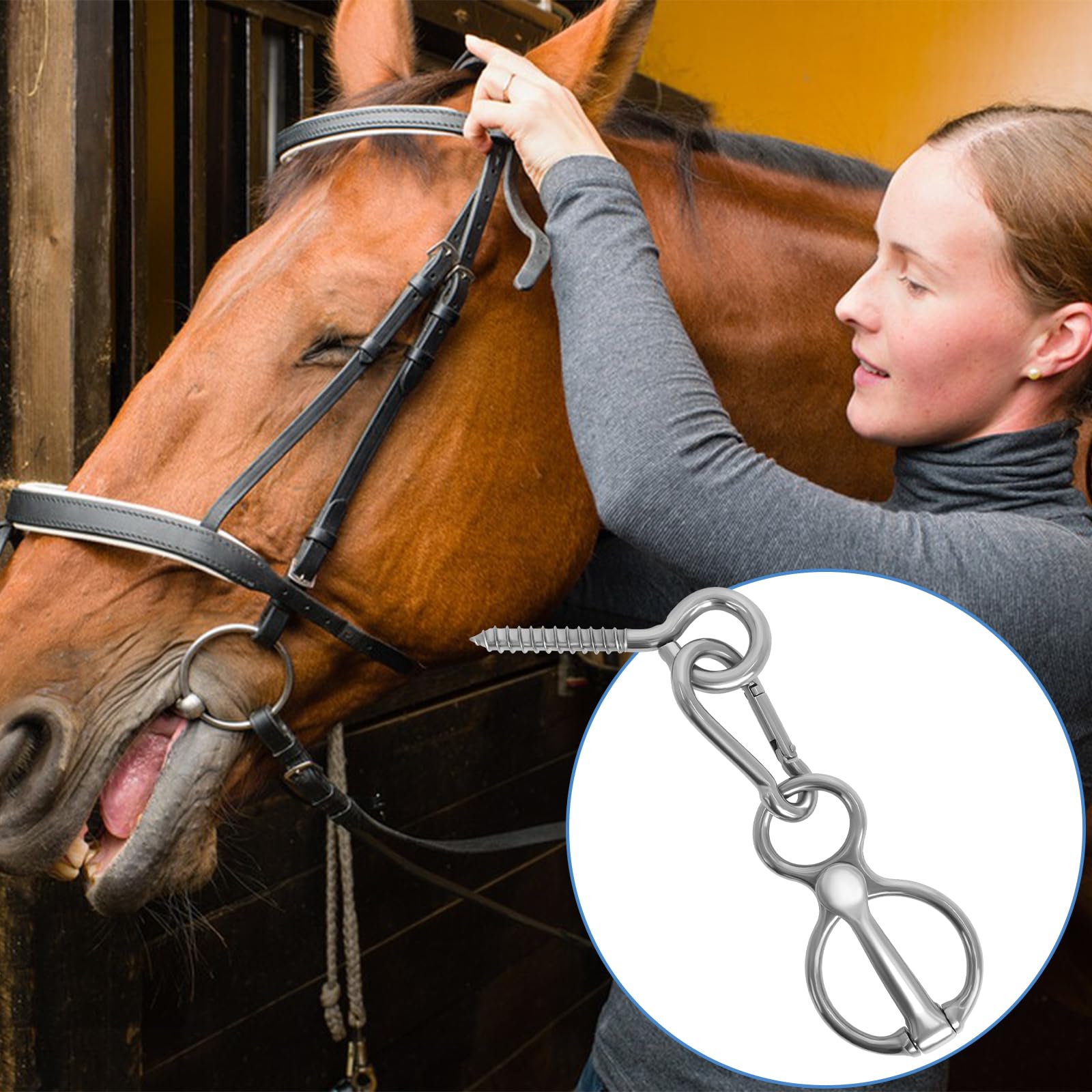Horse