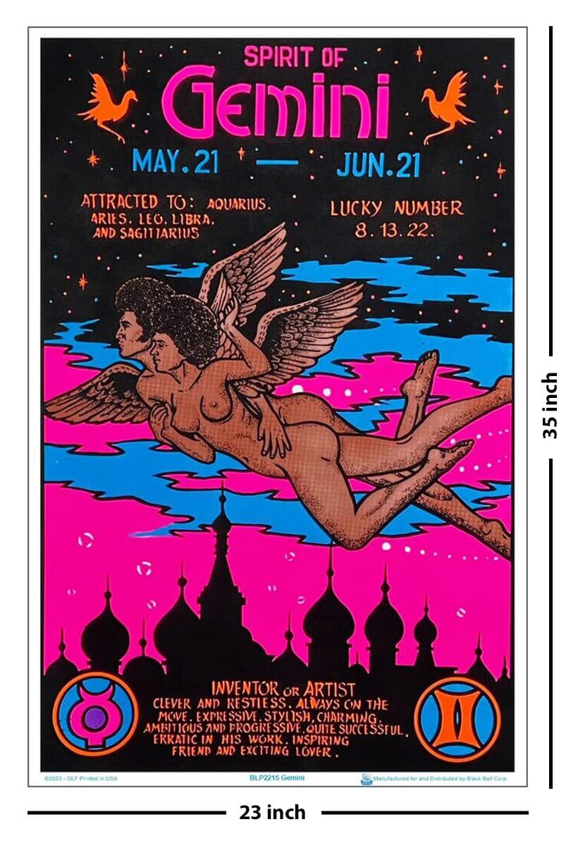 Amazon.com: Scorpio Posters Gemini Zodiac Sign - Flocked