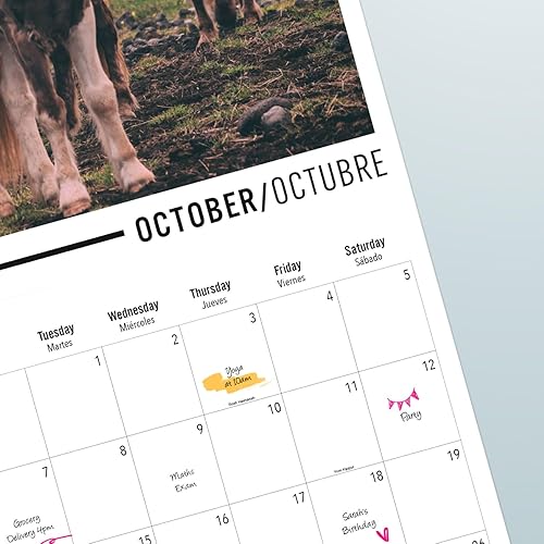 Miniatura 5 de Calendario de caballos 2024 de 12 x 12 pulgadas, sin plástico, FSC, comienza la semana el domingo, planificador de 12 meses, calendario de pared