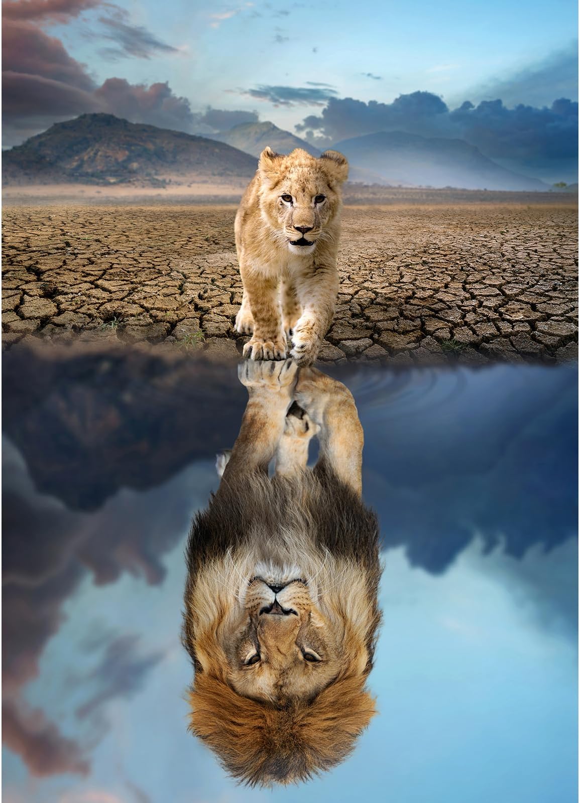 HUADADA Jigsaw Puzzles for Adults 1000 Pieces Puzzles for 1000 Piece Impossible Puzzle for Adults Educational Games (Lion's Reflection de Water)