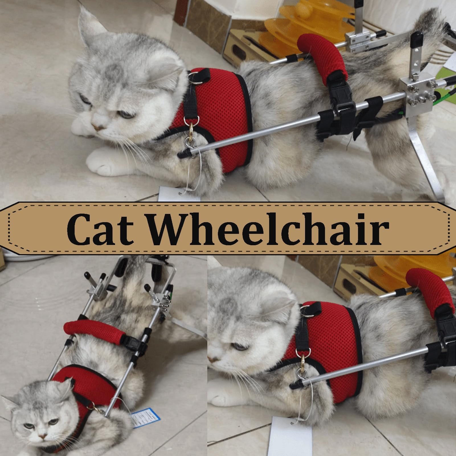 Sedia a Rotelle per Gatti E Cani di Piccola Taglia S