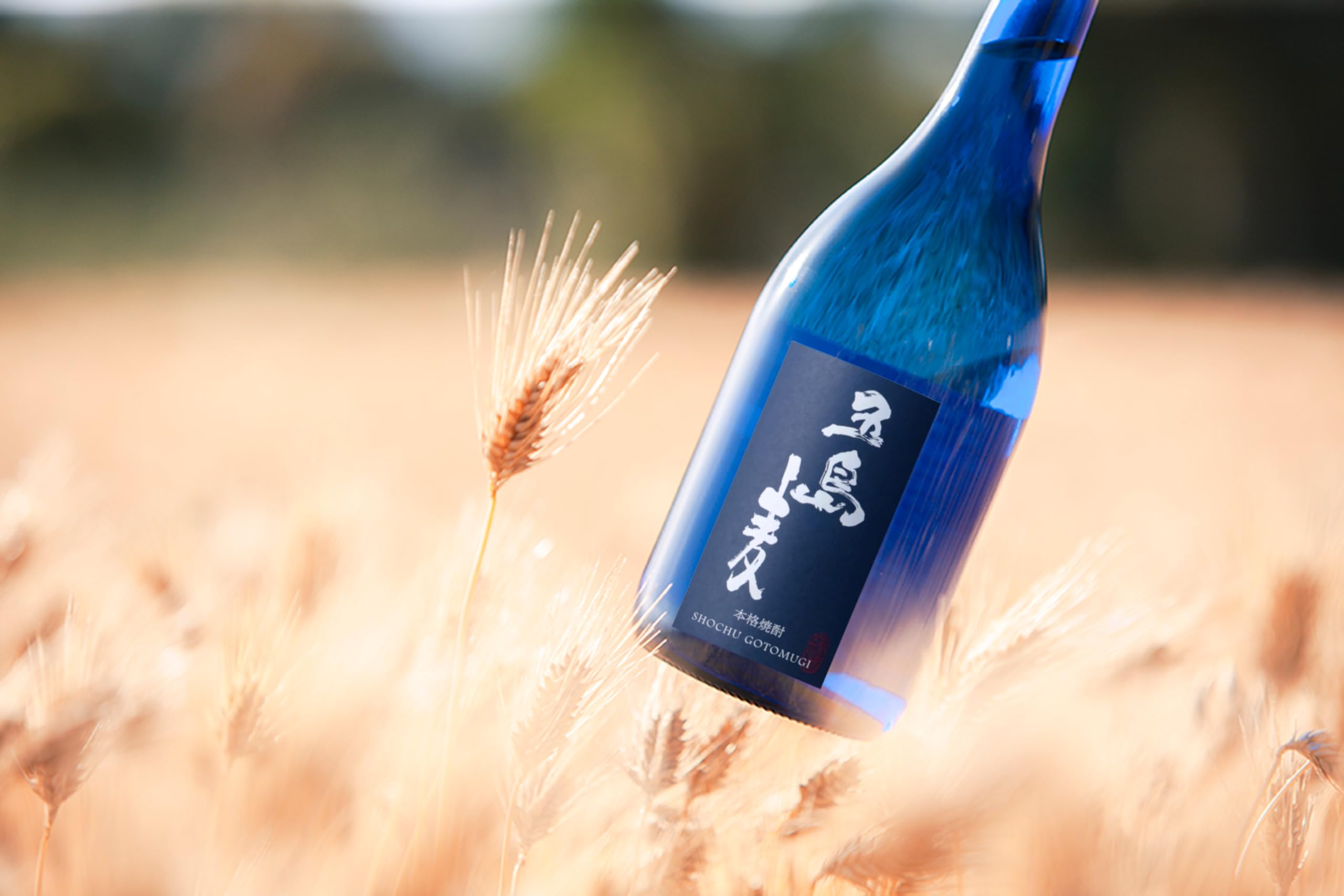 Amazon.co.jp: 五島列島酒造 五島麦 [ 焼酎 25度 長崎県 720ml