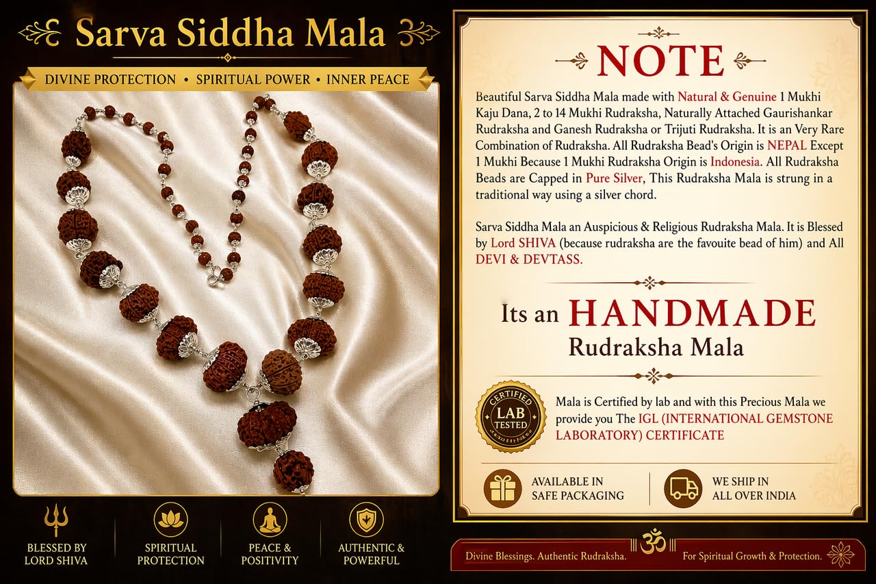 ELARIS CRYSTALS Genuine Sarva Siddha Mala Nepal Pure Siddhi Mala with Gaurishankar & Ganesh Rudraksha AA++ Quality 1 se 14 Mukhi Rudraksha Maala Original Certified Siddha सर्व सिद्ध रुद्राक्ष माला 3