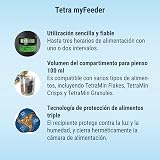 Ver la foto 3