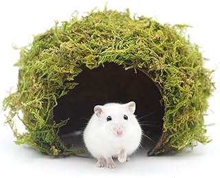 SanmooAio Mossy Cave Hide,Coconut Shell Green Sphagnum, Cage Accessories for Hamsters/Gguinea Pig/Hedgehogs/Gliders/Rats/Mice and Other Small Animals (Large)