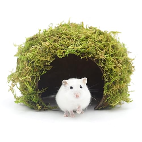 SanmooAio Hamster Hideaway,Mossy Cave Hide,Hamster House/Hides,Hamster Cage Accessories for Gguinea Pig/Hedgehogs/Gliders/Rats/Mice and Other Small Animals (Large) - Large
