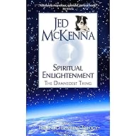 Enlightenment, the Damnedest Thing cover