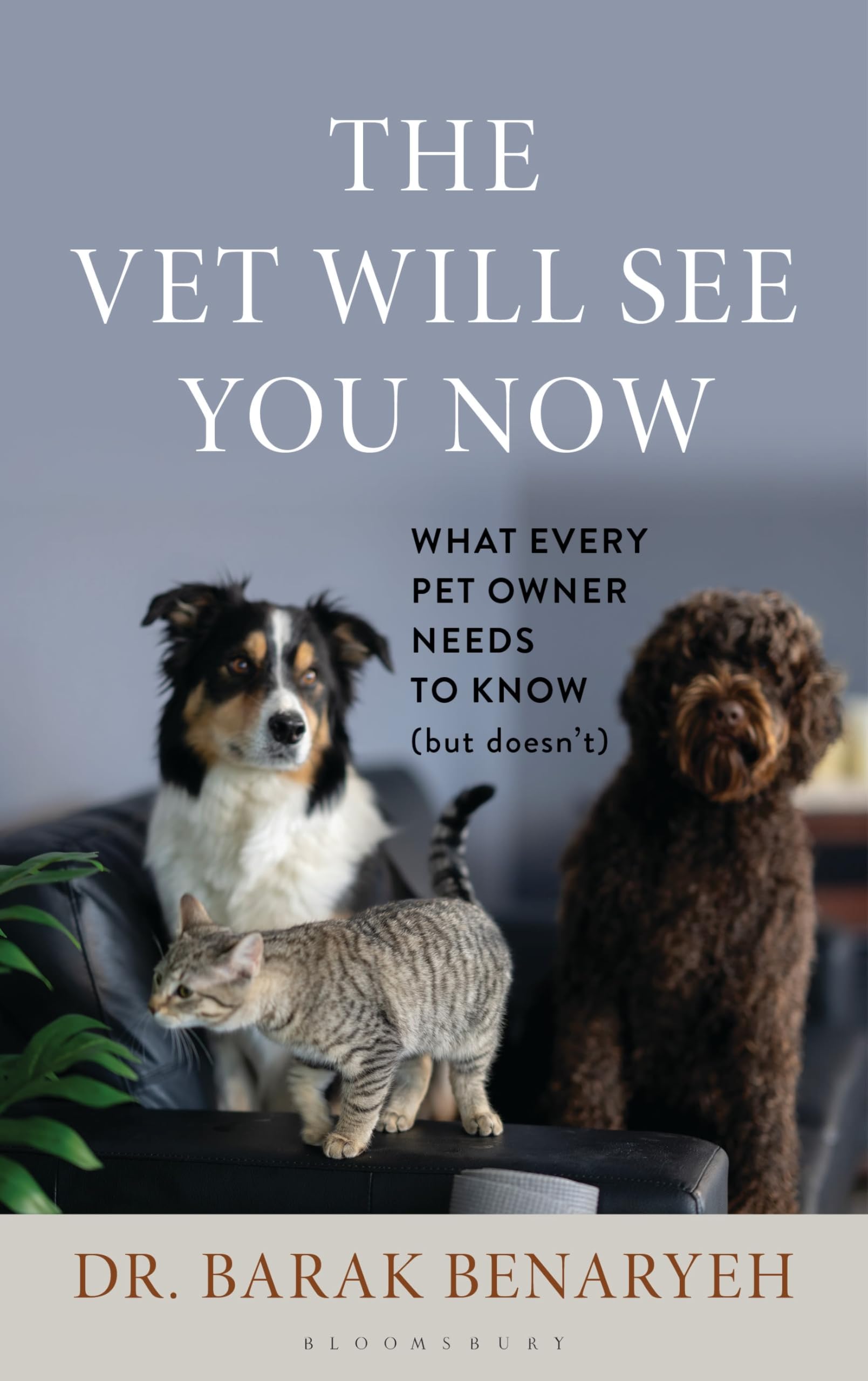 The Vet Will See You Now: What Every Pet Owner Needs to Know (But Doesnt)