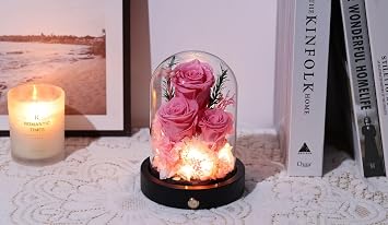 Forever Flowers Gifts for Women,Preserved Roses in Glass Dome, Eternal Flowers for Delivery Prime, Real Pink Roses,Anniversary Birthday Valentines Day Gifts for Wife Her