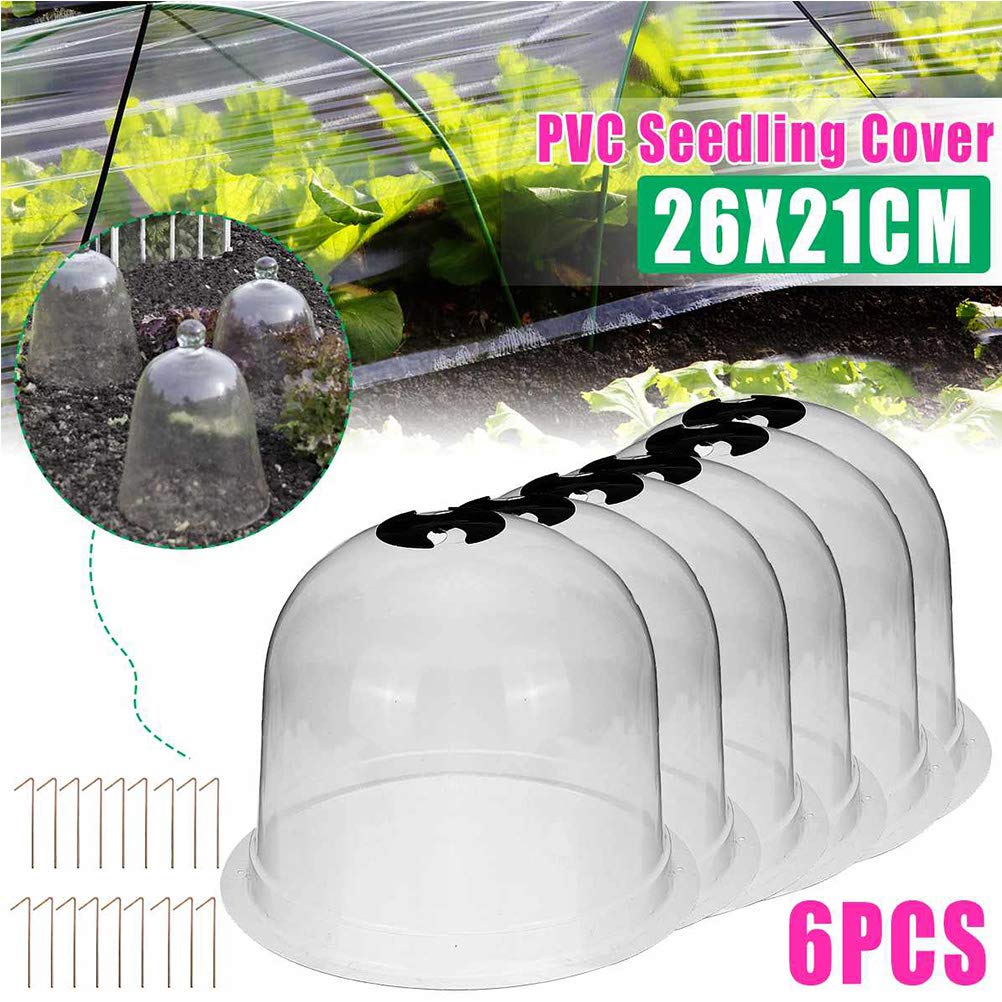6Pcs Plant Cloche Plastic Dome, Durable Humidity Plant Protect Bell Cover for Outdoor Garden 6Pcs Plant Cloche Plastic Dome, Durable Humidity Plant Protect Bell Cover for Outdoor Garden
