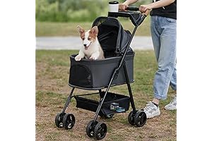 3-in-1 Folding Cat Stroller, The Best Companion for Your Feline Friend