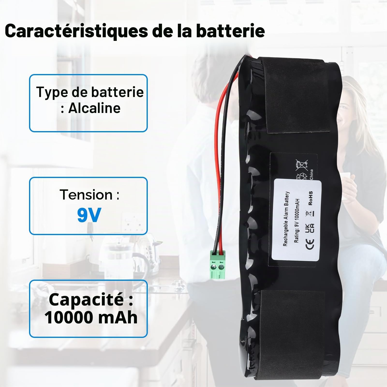 Pack Batterie BPX Compatible avec Sirène Extérieure Delta Dore SEFRX, Sirène SEFRX 6416204, Compatible avec Les Sirènes Tyxal SIRX, SERX, SEFX, SEFRX, Syderal SE
